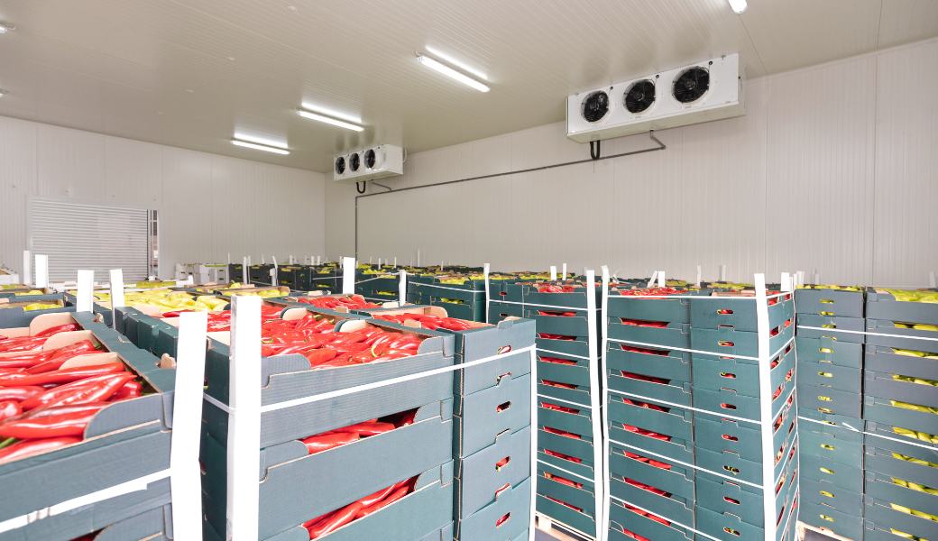 Cold Storage Warehouse